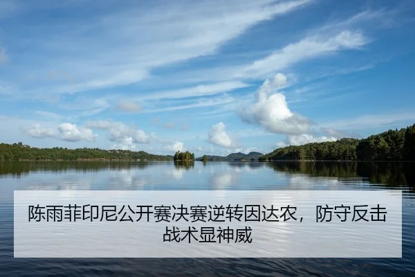 陈雨菲印尼公开赛决赛逆转因达农，防守反击战术显神威