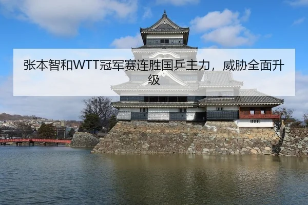 张本智和WTT冠军赛连胜国乒主力，威胁全面升级