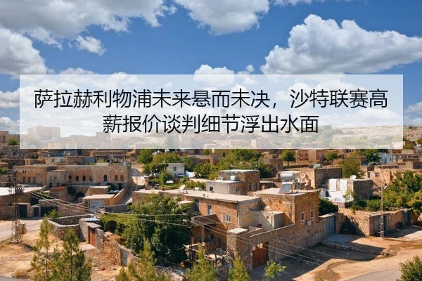 sa-la-he-li-wu-pu-wei-lai-xuan-er-wei-jue-sha-te-lian-sai-gao-xin-bao-jia-tan-pan-xi-jie-fu-chu-shui-mian-2-488.jpg