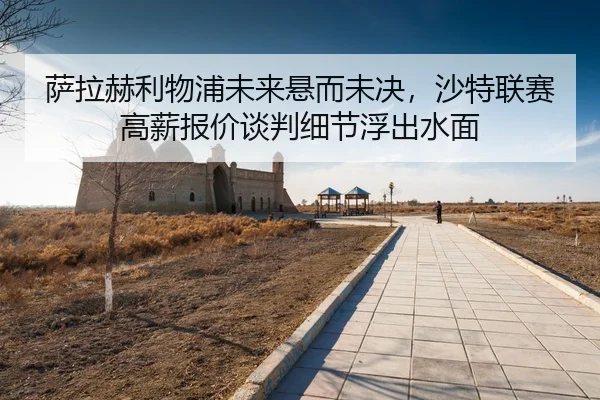 sa-la-he-li-wu-pu-wei-lai-xuan-er-wei-jue-sha-te-lian-sai-gao-xin-bao-jia-tan-pan-xi-jie-fu-chu-shui-mian-3-296.jpg