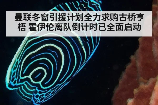 曼联冬窗引援计划全力求购古桥亨梧 霍伊伦离队倒计时已全面启动